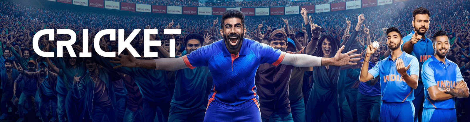 Cricket Banner